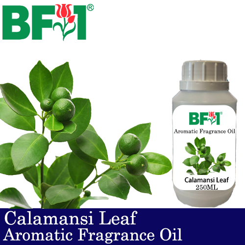 Aromatic Fragrance Oil (AFO) - Calamansi Leaf - 250ml