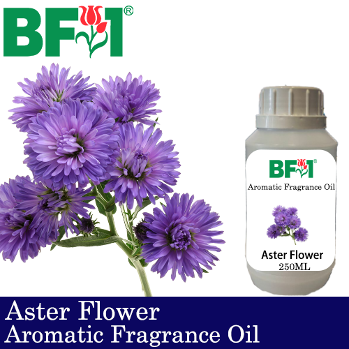 Aromatic Fragrance Oil (AFO) - Aster Flower - 250ml