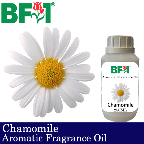 Aromatic Fragrance Oil (AFO) - Chamomile - 250ml
