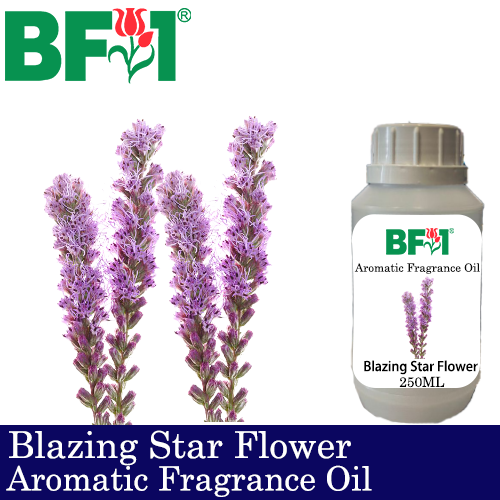 Aromatic Fragrance Oil (AFO) - Blazing Star Flower - 250ml