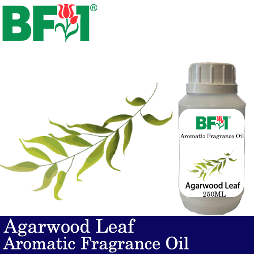 Aromatic Fragrance Oil (AFO) - Agarwood Leaf - 250ml