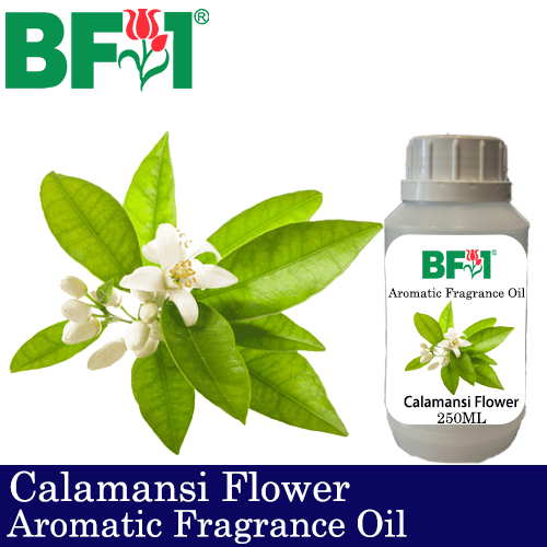 Aromatic Fragrance Oil (AFO) - Calamansi Flower - 250ml