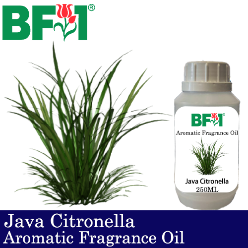 Aromatic Fragrance Oil (AFO) - Citronella Java Citronella - 250ml