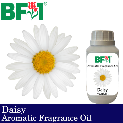 Aromatic Fragrance Oil (AFO) - Daisy - 250ml