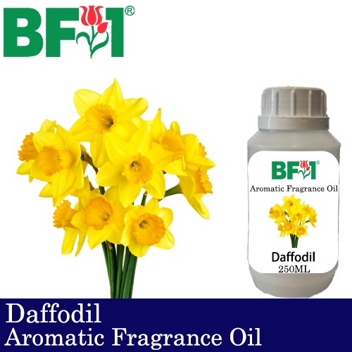 Aromatic Fragrance Oil (AFO) - Daffodil - 250ml