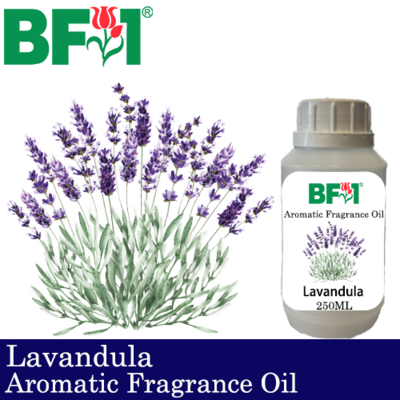 Aromatic Fragrance Oil (AFO) - Lavandula - 250ml Aromatic Fragrance Oil (AFO) - Lavandula - 250ml
