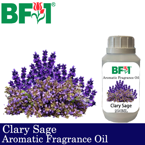 Aromatic Fragrance Oil (AFO) - Clary Sage - 250ml