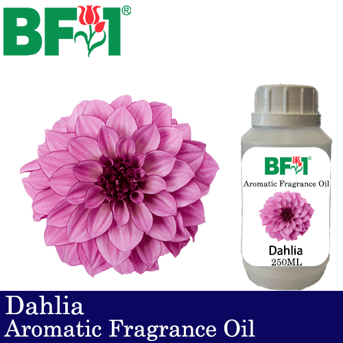 Aromatic Fragrance Oil (AFO) - Dahlia - 250ml