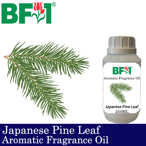 Aromatic Fragrance Oil (AFO) - Japanese Pine Leaf - 250ml