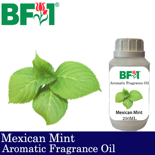 Aromatic Fragrance Oil (AFO) - Mexican Mint - 250ml
