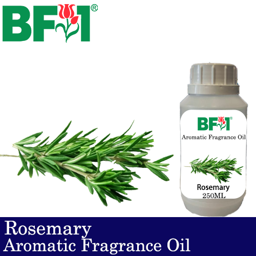 Aromatic Fragrance Oil (AFO) - Rosemary - 250ml