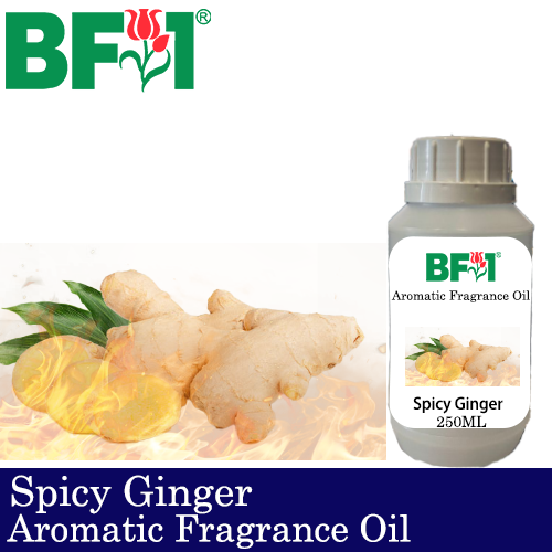 Aromatic Fragrance Oil (AFO) - Spicy Ginger - 250ml