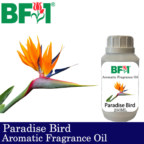 Aromatic Fragrance Oil (AFO) - Paradise Bird - 250ml