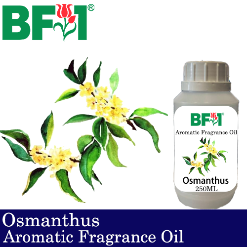 Aromatic Fragrance Oil (AFO) - Osmanthus - 250ml