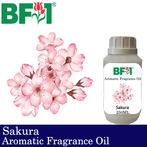 Aromatic Fragrance Oil (AFO) - Sakura - 250ml