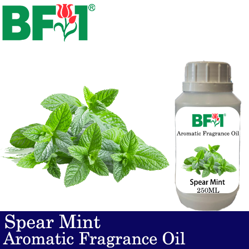 Aromatic Fragrance Oil (AFO) - Spear Mint - 250ml