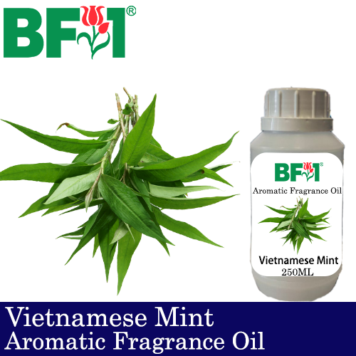 Aromatic Fragrance Oil (AFO) - Vietnamese Mint - 250ml