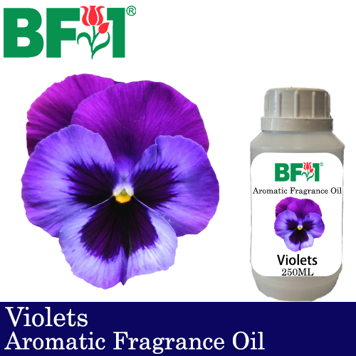 Aromatic Fragrance Oil (AFO) - Violets - 250ml