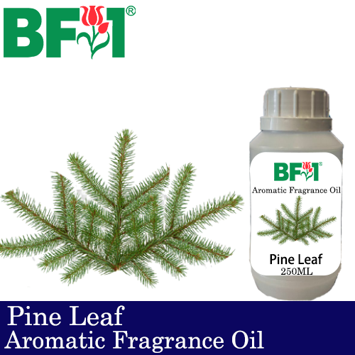 Aromatic Fragrance Oil (AFO) - Pine Leaf - 250ml