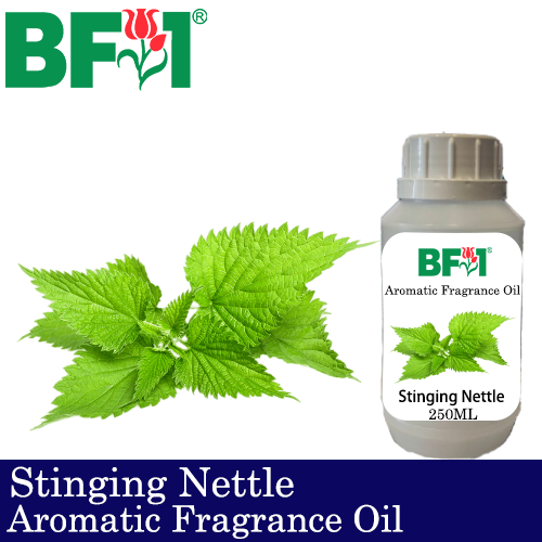 Aromatic Fragrance Oil (AFO) - Stinging Nettle - 250ml