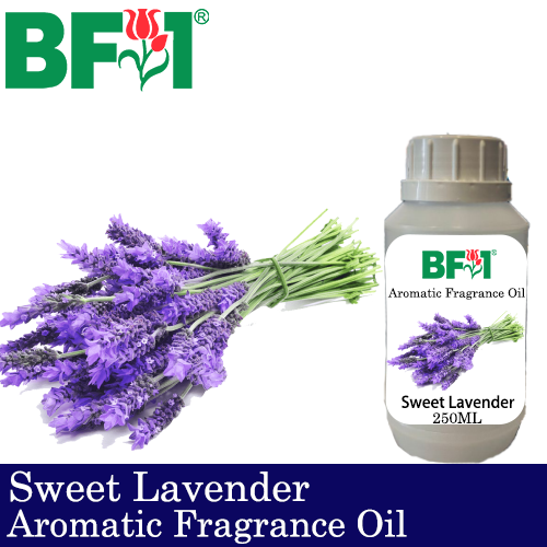 Aromatic Fragrance Oil (AFO) - Sweet Lavender - 250ml