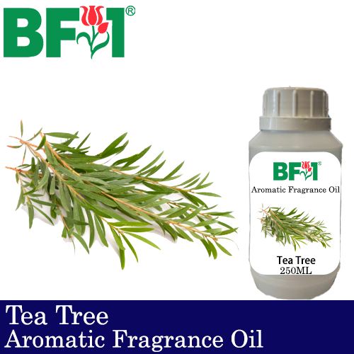 Aromatic Fragrance Oil (AFO) - Tea Tree - 250ml