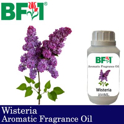 Aromatic Fragrance Oil (AFO) - Wisteria - 250ml