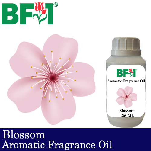 Aromatic Fragrance Oil (AFO) - Blossom - 250ml