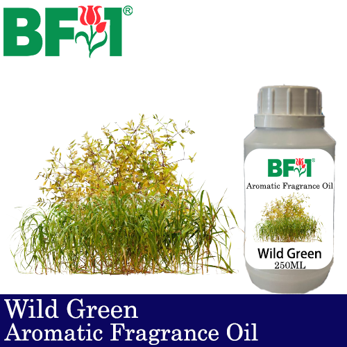 Aromatic Fragrance Oil (AFO) - Wild Green - 250ml