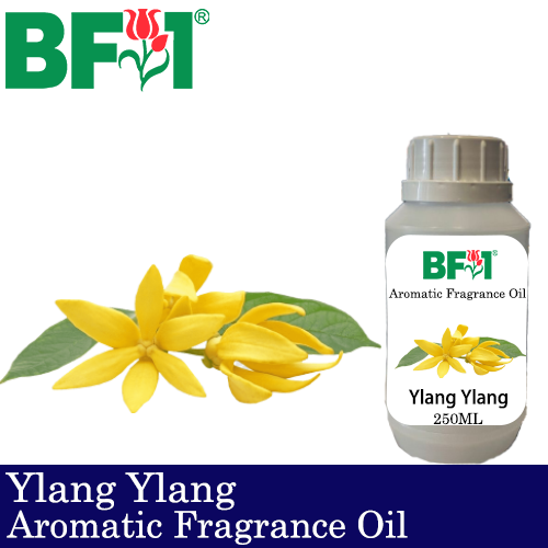 Aromatic Fragrance Oil (AFO) - Ylang Ylang - 250ml