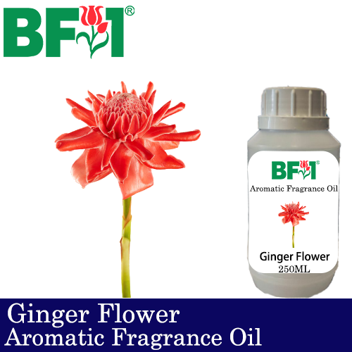 Aromatic Fragrance Oil (AFO) - Ginger Flower - 250ml