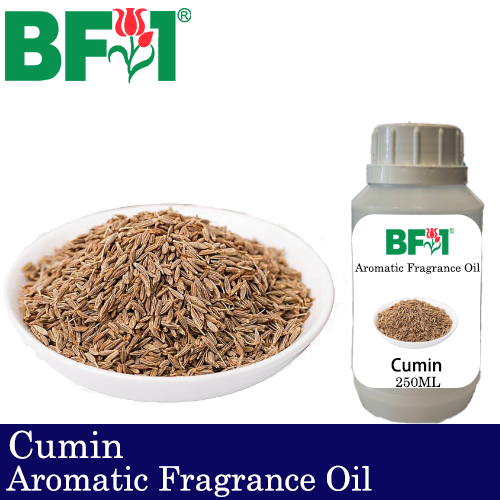 Aromatic Fragrance Oil (AFO) - Cumin - 250ml