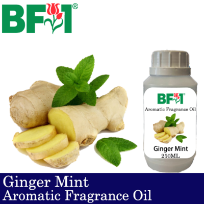 Aromatic Fragrance Oil (AFO) - Ginger Mint - 250ml Aromatic Fragrance Oil (AFO) - Ginger Mint - 250ml