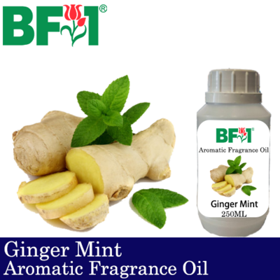 Aromatic Fragrance Oil (AFO) - Ginger Mint - 250ml