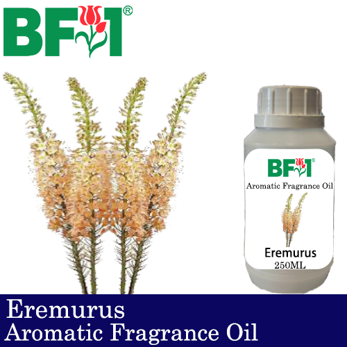 Aromatic Fragrance Oil (AFO) - Eremurus - 250ml