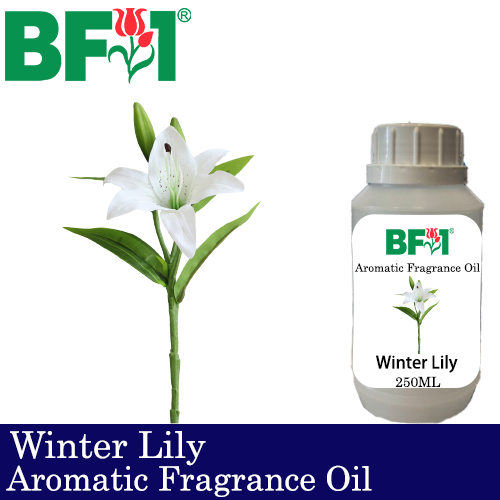 Aromatic Fragrance Oil (AFO) - Winter Lily - 250ml