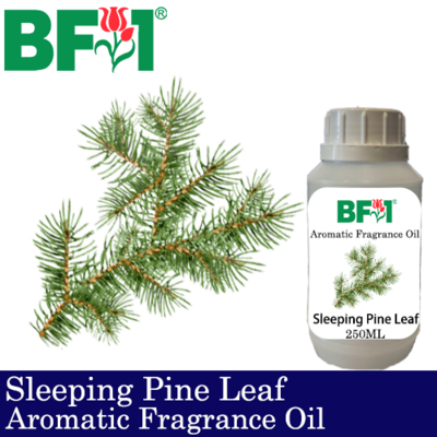 Aromatic Fragrance Oil (AFO) - Sleeping Pine Leaf - 250ml