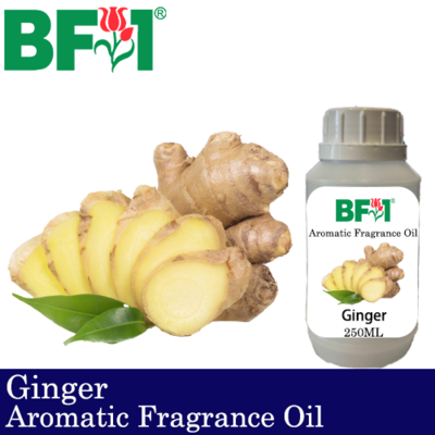 Aromatic Fragrance Oil (AFO) - Ginger - 250ml