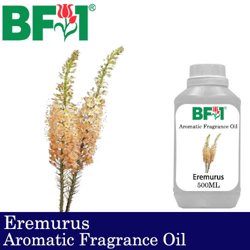 Aromatic Fragrance Oil (AFO) - Eremurus - 500ml