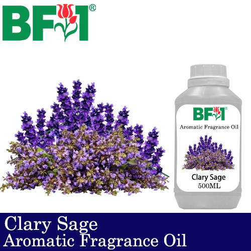 Aromatic Fragrance Oil (AFO) - Clary Sage - 500ml
