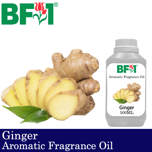 Aromatic Fragrance Oil (AFO) - Ginger - 500ml
