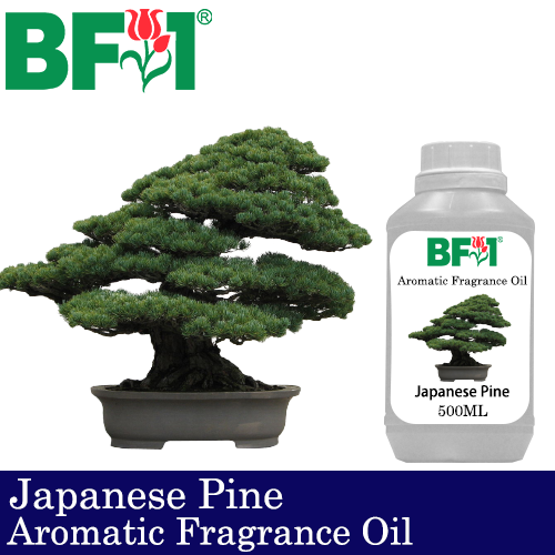 Aromatic Fragrance Oil (AFO) - Japanese Pine - 500ml