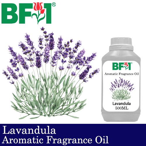 Aromatic Fragrance Oil (AFO) - Lavandula - 500ml