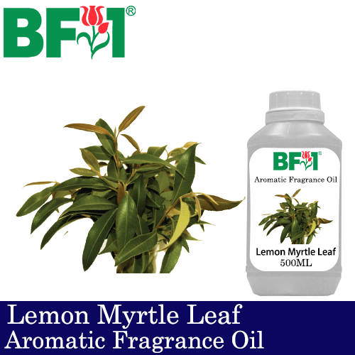 Aromatic Fragrance Oil (AFO) - Lemon Myrtle Leaf - 500ml