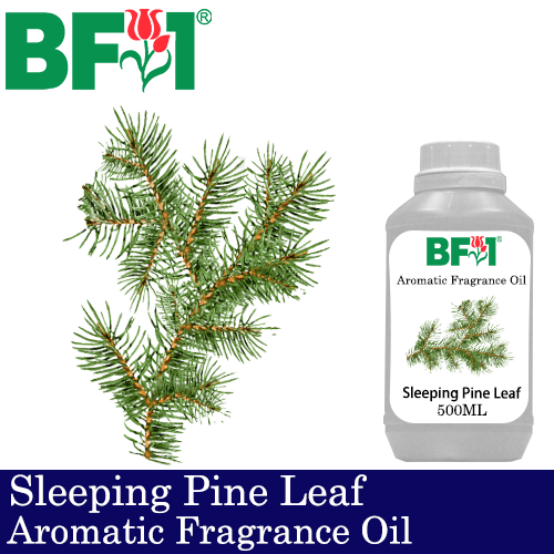 Aromatic Fragrance Oil (AFO) - Sleeping Pine Leaf - 500ml