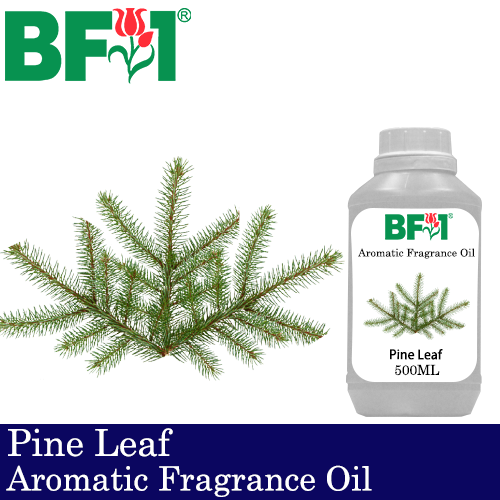 Aromatic Fragrance Oil (AFO) - Pine Leaf - 500ml