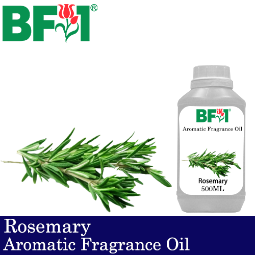 Aromatic Fragrance Oil (AFO) - Rosemary - 500ml