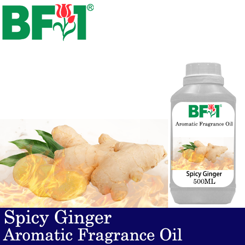 Aromatic Fragrance Oil (AFO) - Spicy Ginger - 500ml