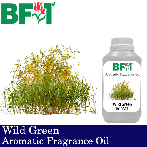 Aromatic Fragrance Oil (AFO) - Wild Green - 500ml