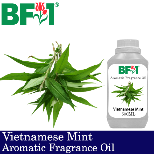 Aromatic Fragrance Oil (AFO) - Vietnamese Mint - 500ml
